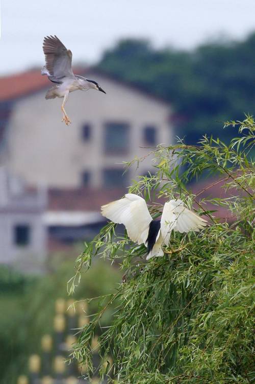 http://xww.hynu.edu.cn/__local/1/7C/AA/BCF7BD2C959F9FA458F4A6F8053_835C7E54_30A1A.jpg